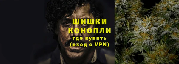 PSILOCYBIN Коряжма