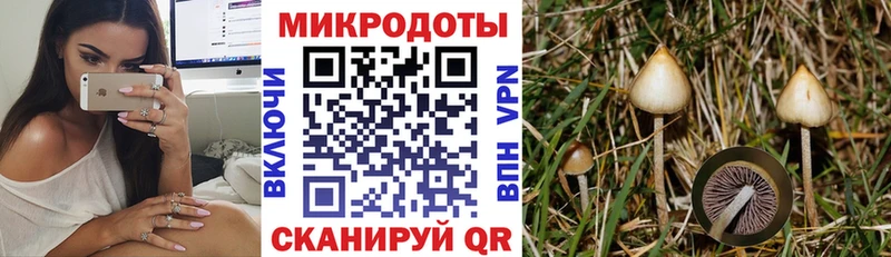 mega ссылки  Волгодонск  Псилоцибиновые грибы GOLDEN TEACHER 