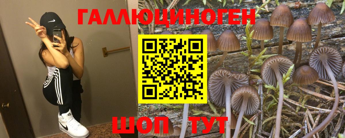 Псилоцибиновые грибы мухоморы Волгодонск